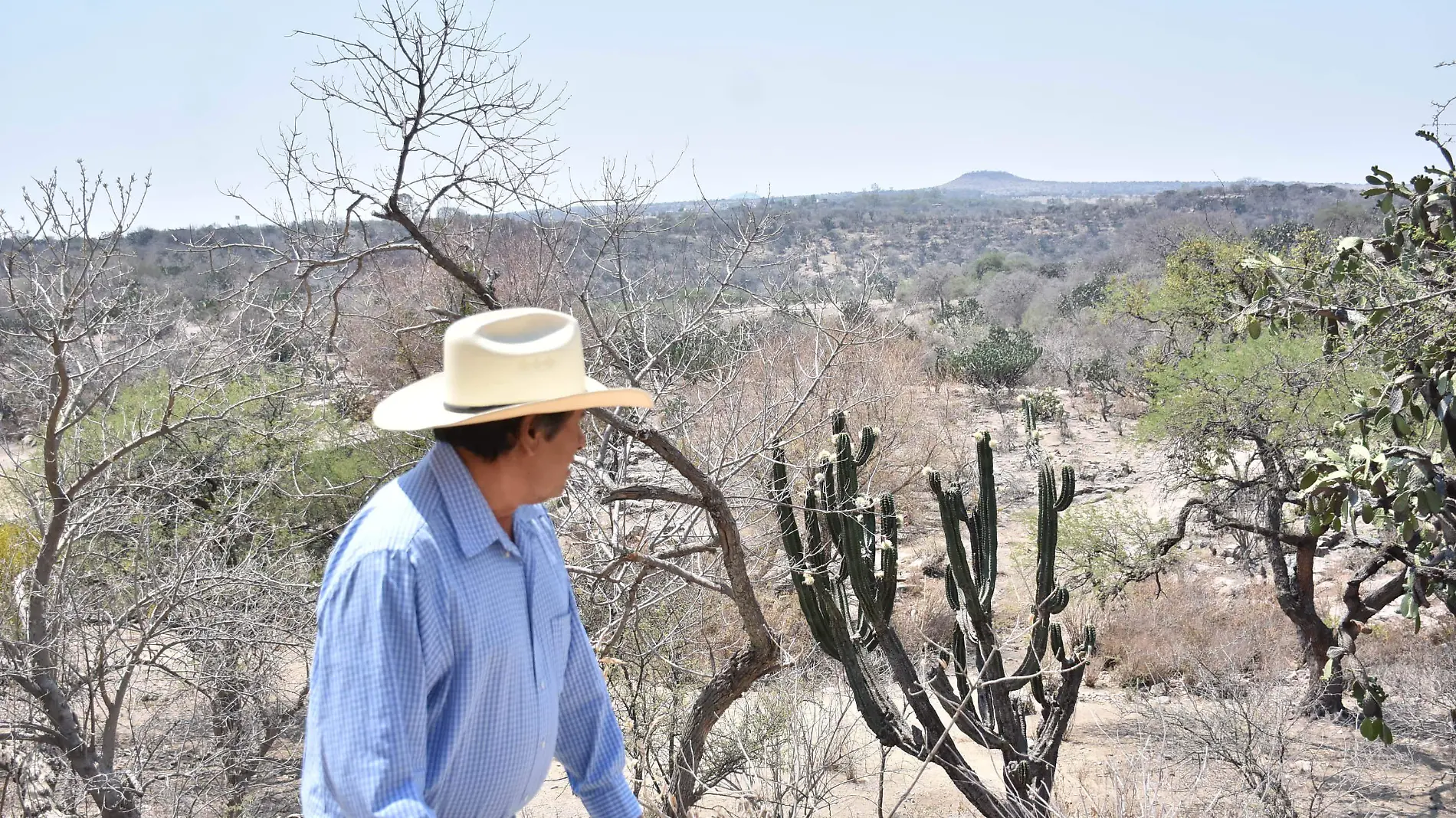 Campo y la sequía  (2)